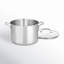 Cuisinart Chefs Classic 6 Quart Stockpot with Cover-199903997