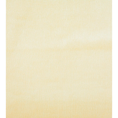 Essential Velvets Glamour Fabric
