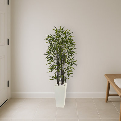 Bamboo Tree in White Tower Planter