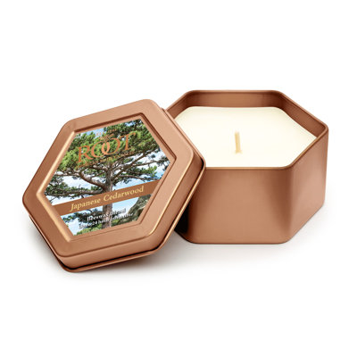Bougie parfumée en pot de cèdre japonais