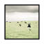" Curious Cows " by Lupen Grainne-72783459-72783460-72783461