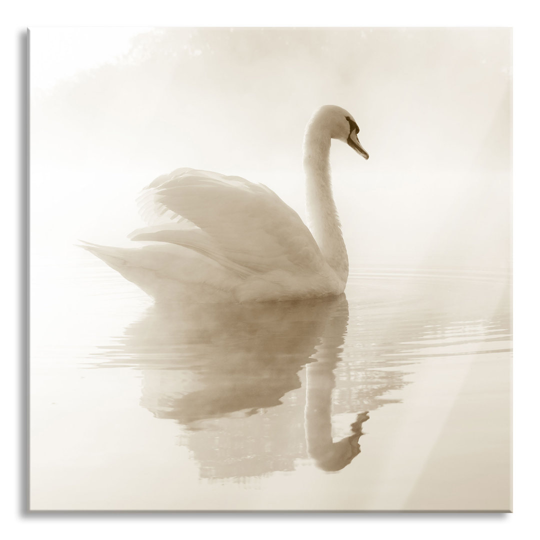 Glasbild Schwan im Morgennebel