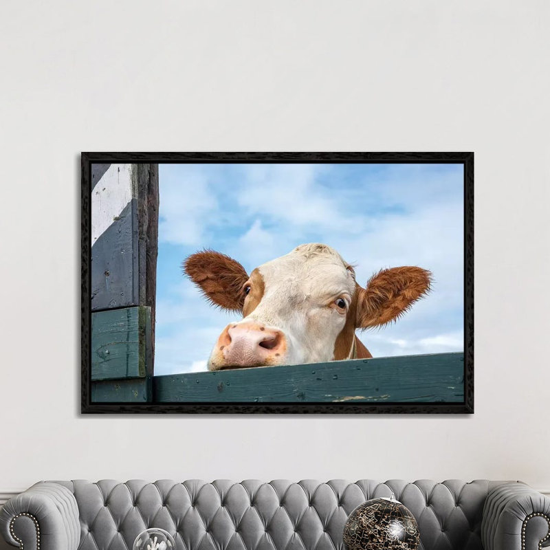 Peeking Cow by Clara Bastian - Print on Canvas, White Framed, 152.5 cm H x 101.5 cm W