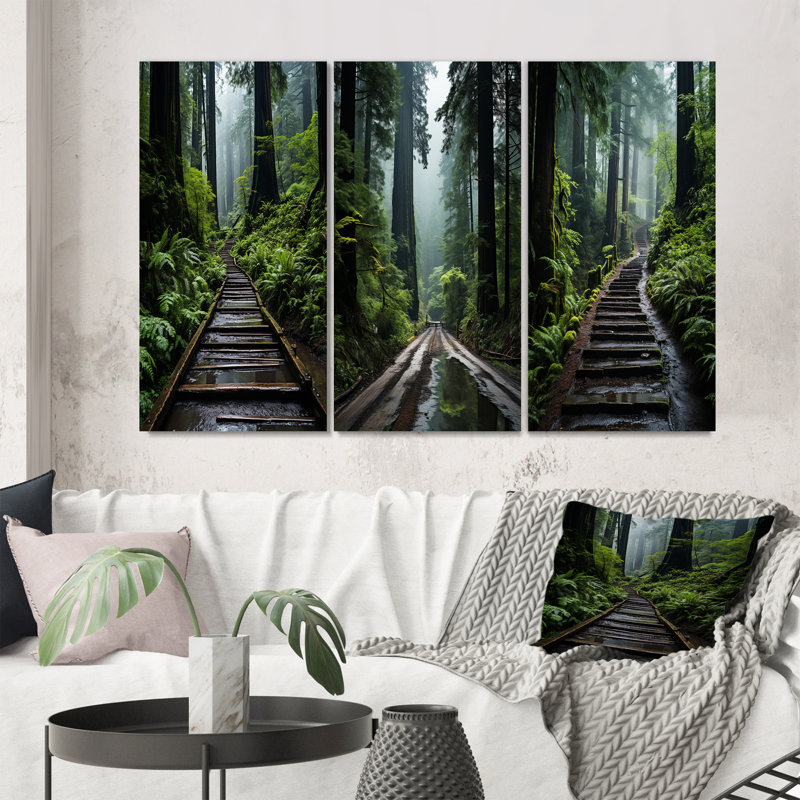 États-Unis - Monument national de Muir Woods - Ensemble de 3 pièces, Toile tendue, H 20 po x l 36 po