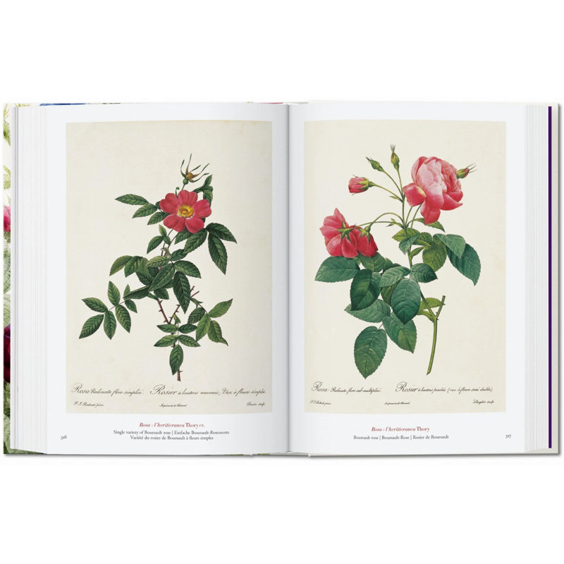 Redouté. The Book of Flowers. 45th Ed.