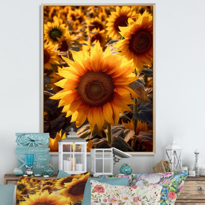 " Sunflower Golden At Sunset III "
