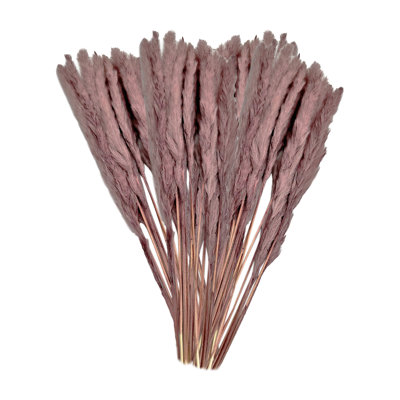 Fleurs préservées