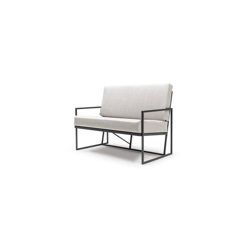 Anibella 124cm Wide Metal Loveseat with Cushions, Beige