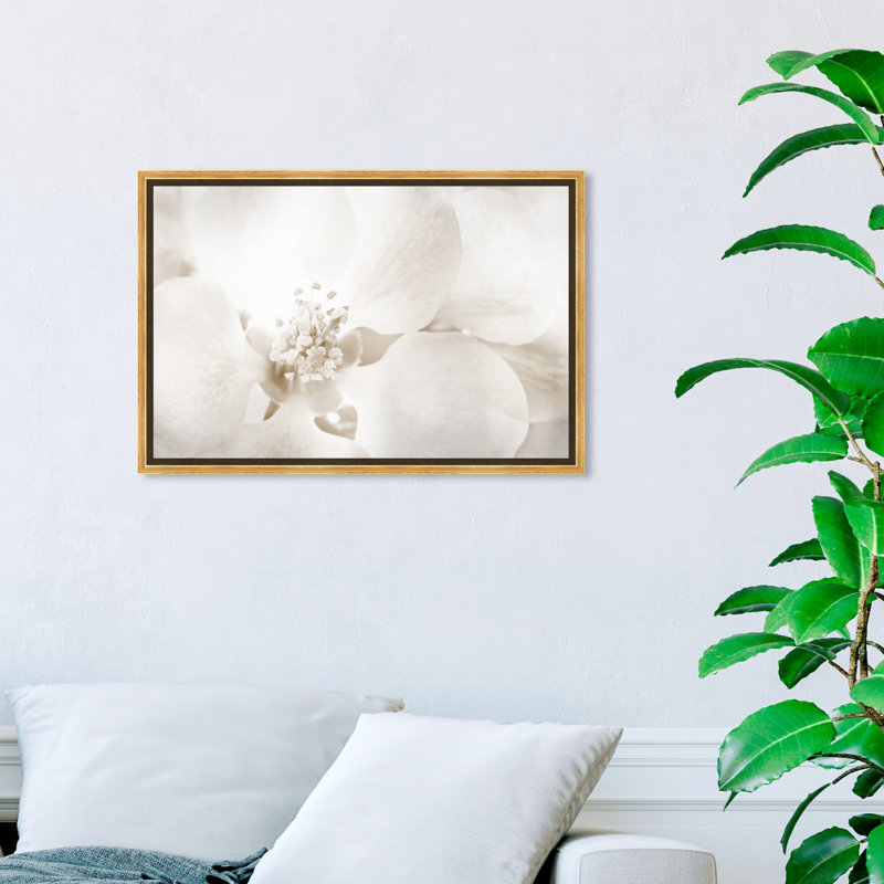 «Floral and Botanical Orchid Love», reproduction d'art graphique sur toile, H 10 po x l 15 po, Impression encadrée, Doré