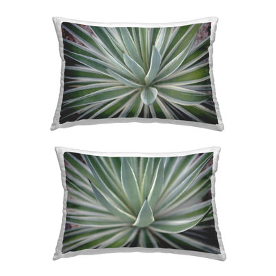 Coussin Agave