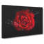 Red Rose In The Shadows - Wrapped Canvas Print-56648311