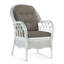 Everglade Upholstered Arm Chair-524362361-526444012