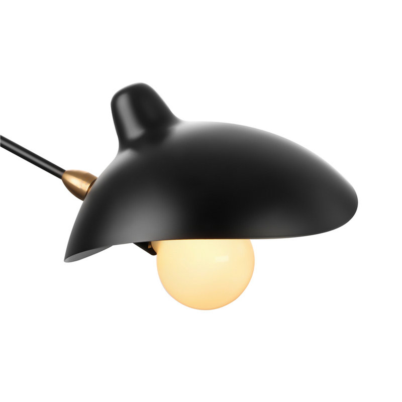 Applique murale à 2 lumières noire Florisa, H 27,5 po x l 96 po x P 10 po