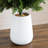 3ft. UV Resistant Artificial Cedar Tree in Decorative White Planter (Indoor/Outdoor)