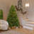 6' Lighted Spruce Christmas Tree