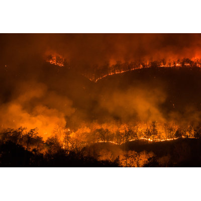 Forest FIre Burning, Wildfire At Night by Mack2happy - Wrapped Canvas Print