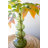 SMALL GLASS BUBBLE VASE - GREEN-454631063-454631060