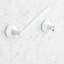 Lentz Wall Mounted Pivoting Toilet Paper Holder-1966695260