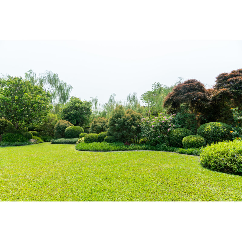 Beautiful Landscape Garden - Wrapped Canvas Print, 30cm H x 46cm W