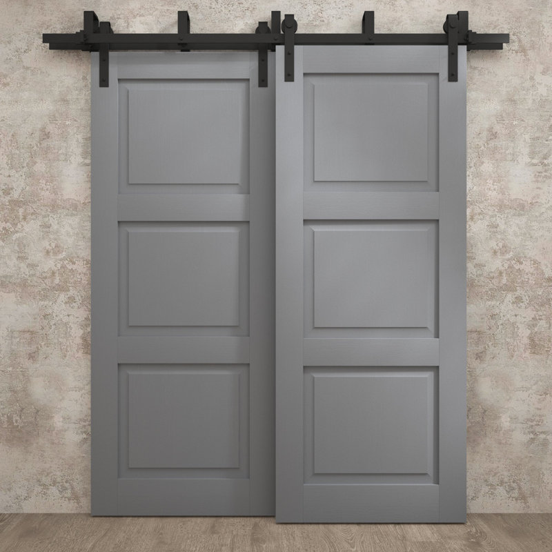 Portes coulissantes de grange coulissantes pour garde-robe | Ego 5010 | Ensemble de quincaillerie Modern Rails | Portes de garde-robe de chambre en bois massif
