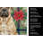 Bullmastiff Christmas PoinsettIas Kitchen Towel-2080584013