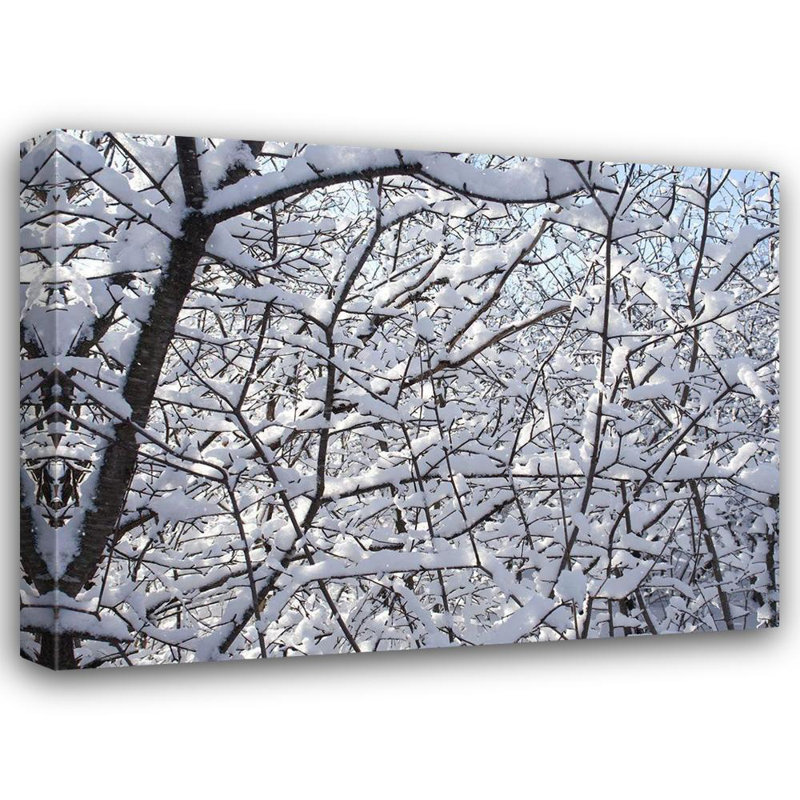 Hokku Designs Bonin, Suzanne, reproduction d'art sur toile tendue: Still Winter, H 28 po x l 36 po