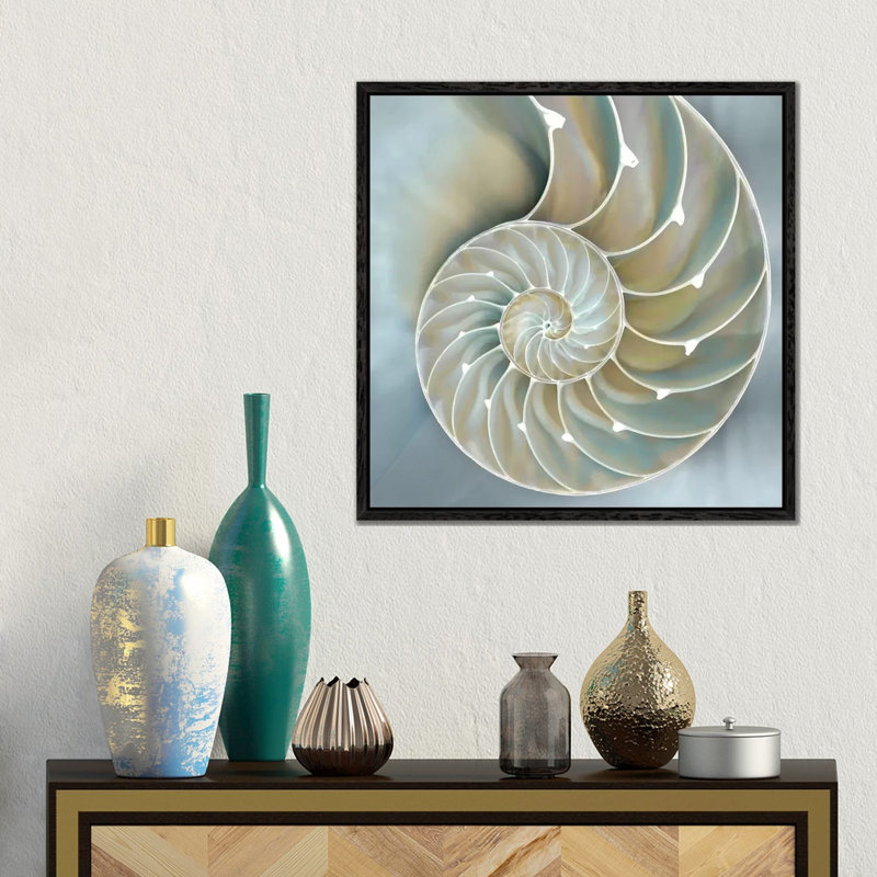 Nautilus In Blue II by Caroline Kelly - Gallery-Wrapped Canvas Giclée on Canvas, 45.72 cm H x 45.72 cm W, Black Framed