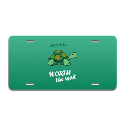 Cadre en aluminium en forme de tortue tardive