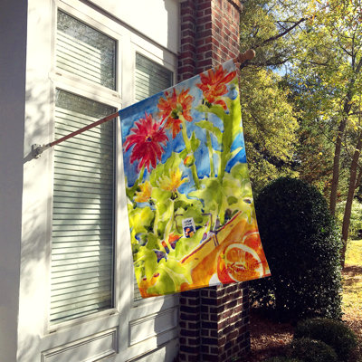 Nickens Double Sided 40'' H x 28'' W Polyester House Flag