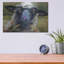 «Bless Ewe» par CR Townsend-386235174