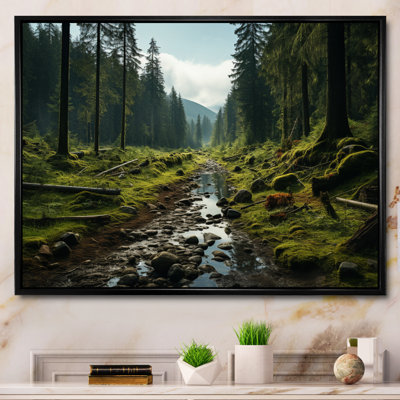 " USA Olympic National Forest Washington III "