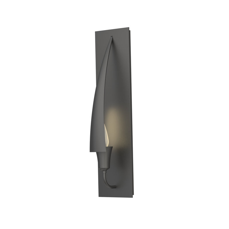 Cirque 1 - Light Flush Mounted Sconce, Black