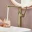 Robinet de lavabo vasque de salle de bain monocorps et monocommande en laiton massif 10 po avec drain-100018786-111906126