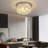 Aynath Crystal Flush Mount