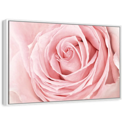 Fresh Pink Rose