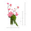 Fleurs de cerisier et arrangement de plantes grasses