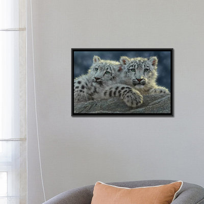 " Snow Leopard Cubs, Horizontal " by Collin Bogle