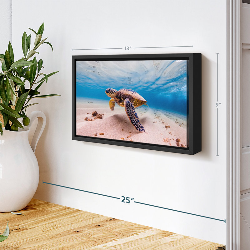 Sandy Turtle Canvas Print, 9" H x 13" W