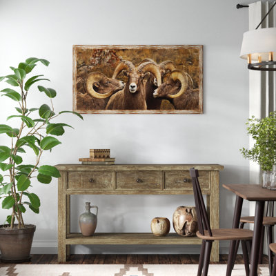 " Big Horn Sheep "