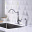Robinet de cuisine à installation à 2 trous à poignée simple avec douchette rétractable assortie Signature - Collection Chrome poli Signature-59019966