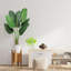 Faux arbre en fleurs-122895100