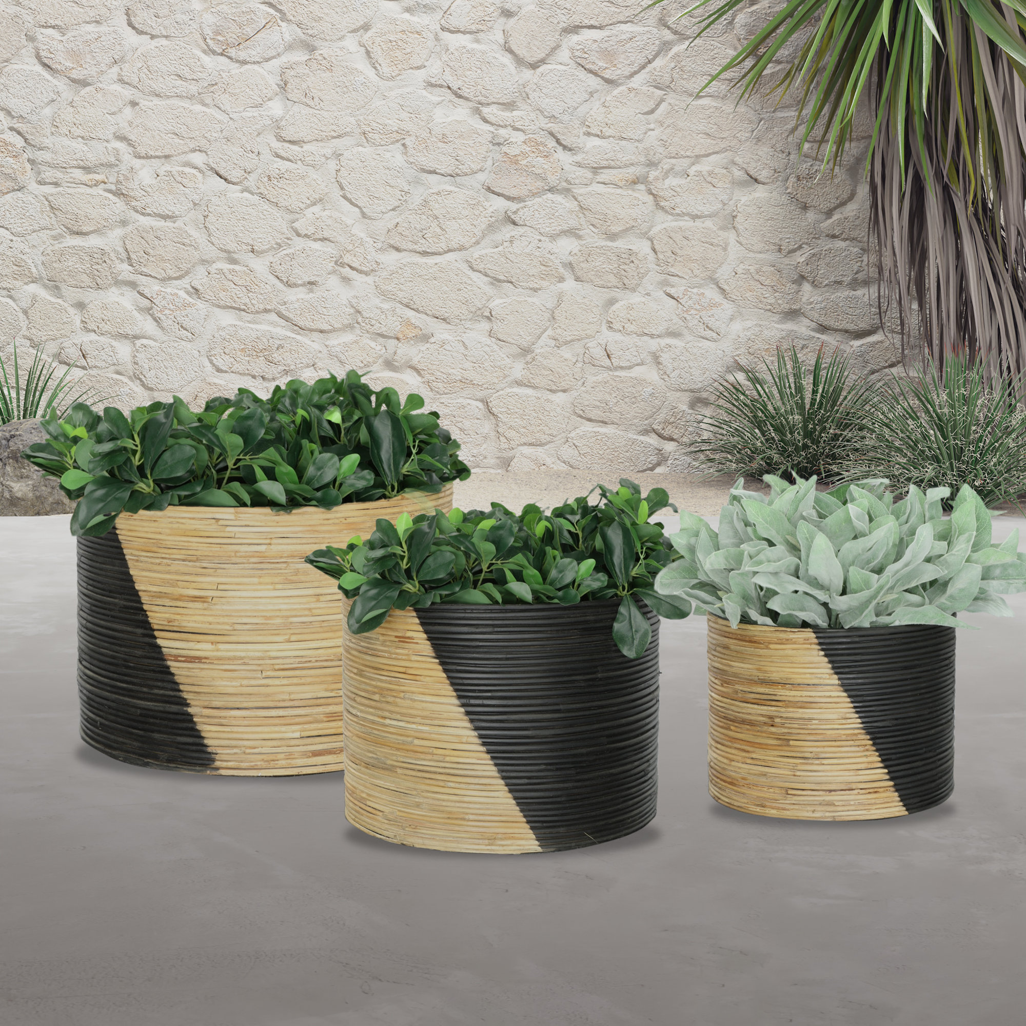 Ming Pot Planter - Set of 3