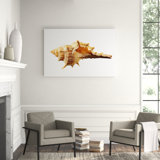 Sea Shell Horn Print