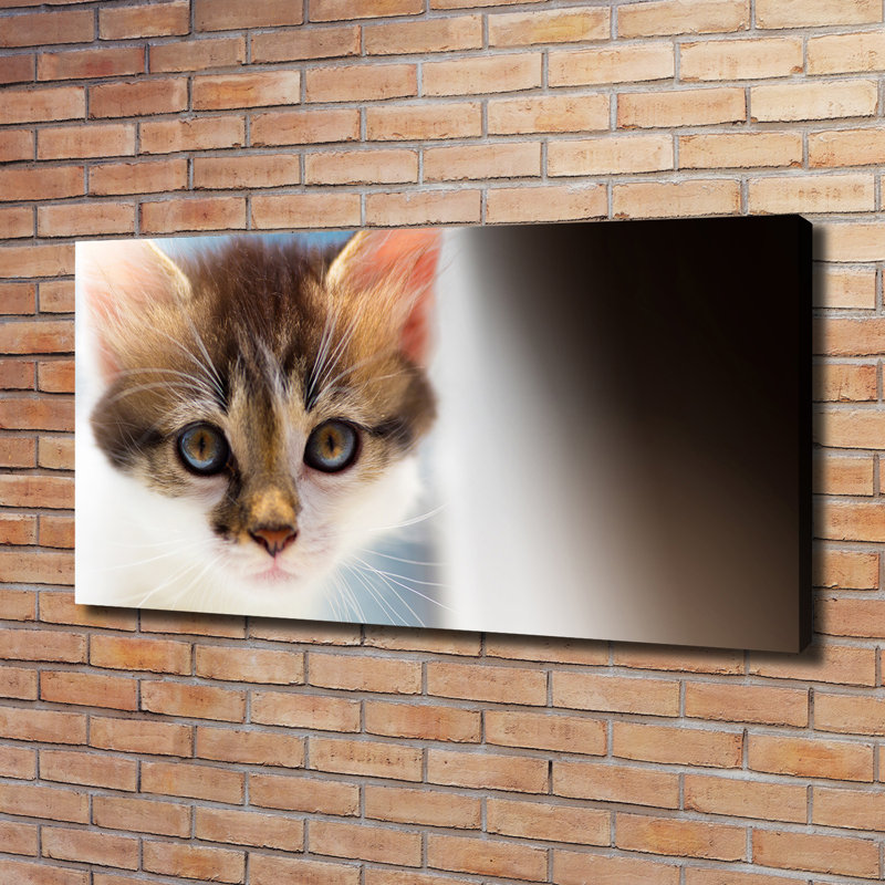 Small Cat - Wrapped Canvas Print