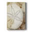 Dry Sand Dollar I, toile tendue avec châssis de qualité supérieure - prête à être accrochée-164061559