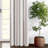 August Stripe-105537089-105537090