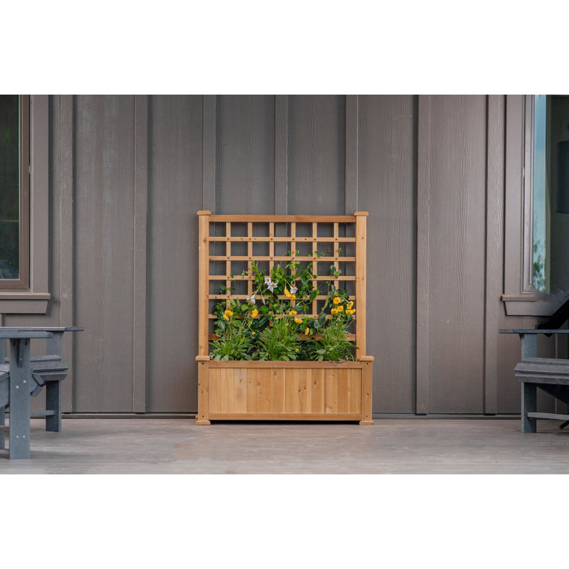 Golden Brown Cedar Wood Planter with Trellis