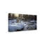 «Winter Creek Coyote» par Etelca, impression sur toile tendue-27645091