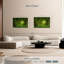 Mousse verte-270941765-270941767