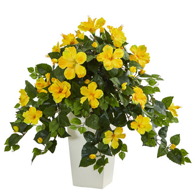 Agencements de fleurs hibiscus et de pots de fleurs dans un pot de fleurs